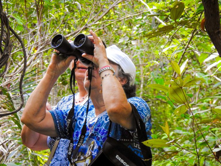 Observando a natureza em Praia do Forte