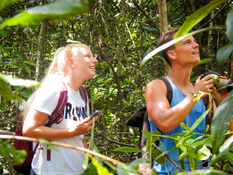 Passeios para a Família