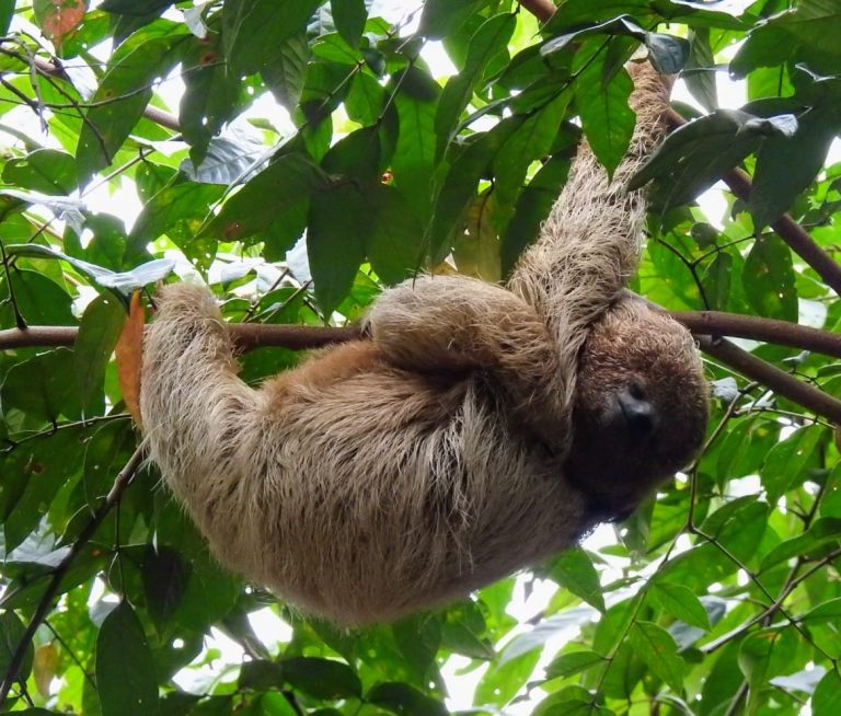 WhatsApp Image 2023-11-13 at 11.35.15 (2)