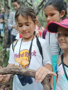 WhatsApp Image 2023-12-07 at 10.46.38 (2)