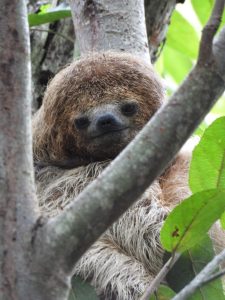 WhatsApp Image 2025-03-25 at 20.54.46