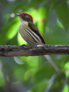 WhatsApp Image 2025-04-09 at 14.32.05