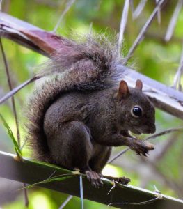 WhatsApp Image 2025-04-11 at 10.54.11