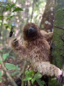 WhatsApp Image 2025-07-04 at 13.29.24