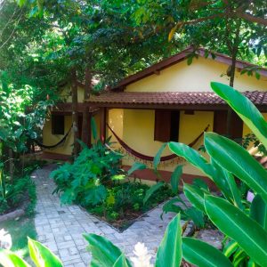 Chales em Praia Forte - Aruá Observação Aves Natureza