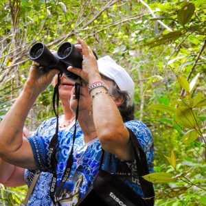 Observando a natureza em Praia do Forte