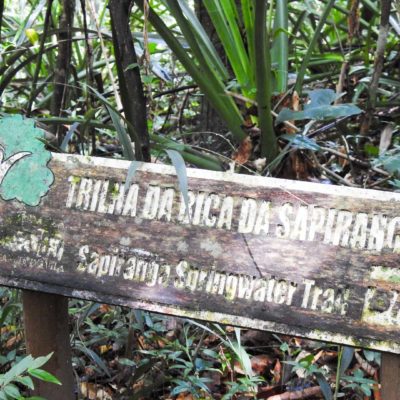 Quati - Passeios na Natureza para toda família em Praia Forte Bahia