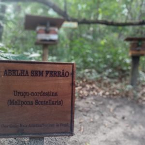 WhatsApp Image 2022-07-22 at 15.28.57 (1)