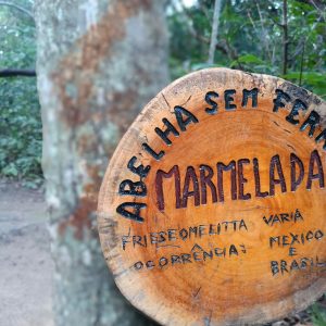 WhatsApp Image 2022-07-22 at 15.28.57