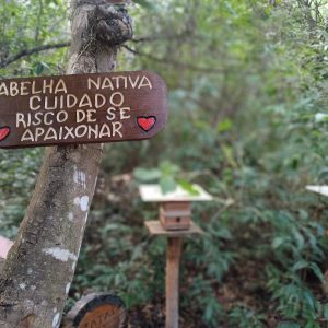 WhatsApp Image 2022-07-22 at 15.28.59