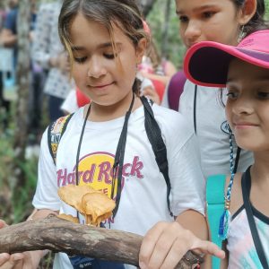 WhatsApp Image 2023-11-13 at 11.35.23 (3)